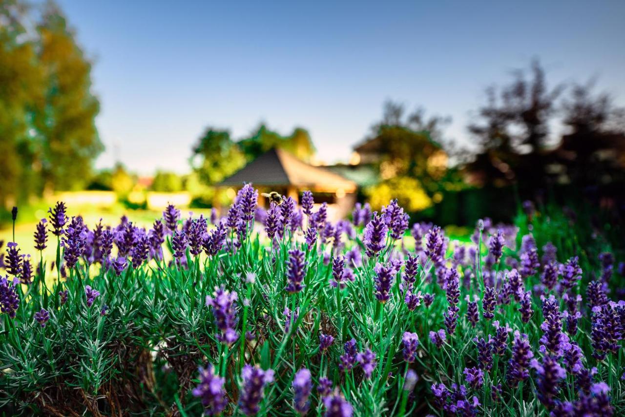 Villa Natura Zator Przeciszów Exterior foto